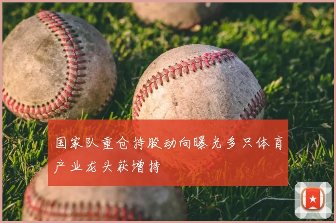 国家队重仓持股动向曝光多只体育产业龙头获增持