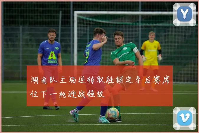 湖南队主场逆转取胜锁定季后赛席位下一轮迎战强敌