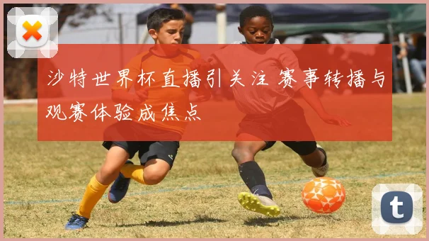 沙特世界杯直播引关注 赛事转播与观赛体验成焦点